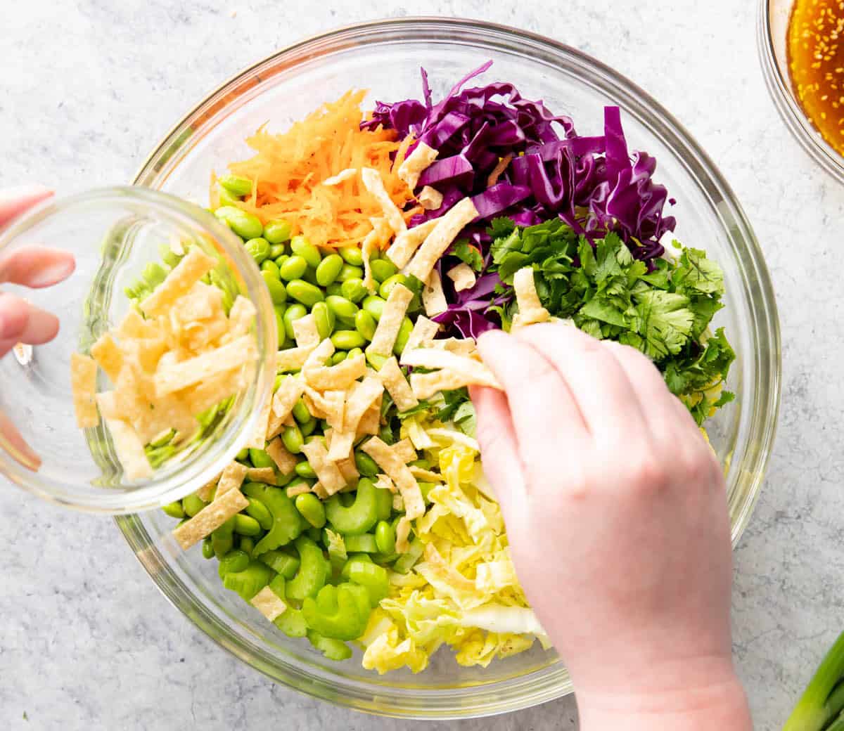 How to make an Asian Salad – sprinkling fried wonton strips over salad ingredients